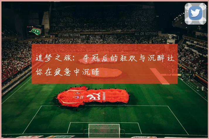 追梦之旅：夺冠后的狂欢与沉醉让你在疲惫中沉睡